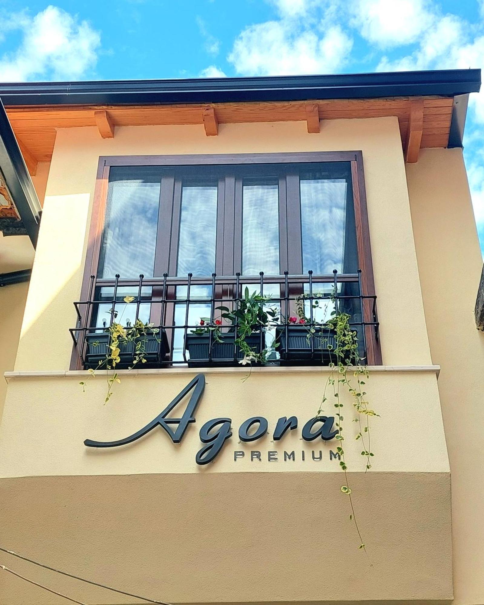 Apartment Agora Premium *